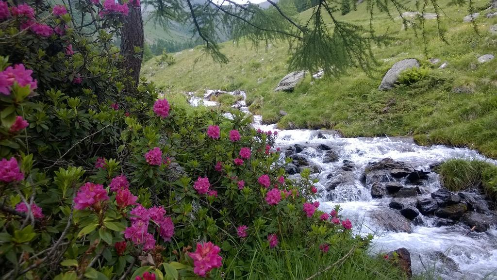 Albergo Eden Passo del Tonale Eksteriør billede