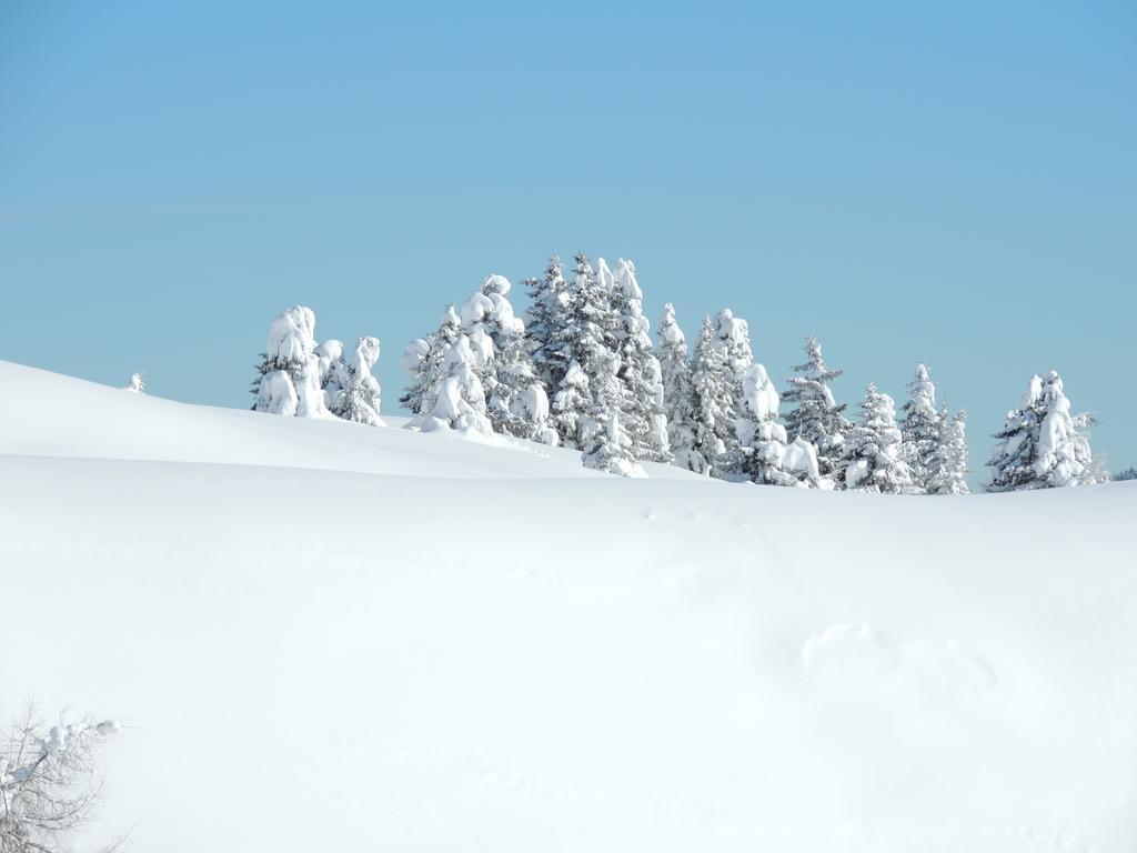 Albergo Eden Passo del Tonale Eksteriør billede